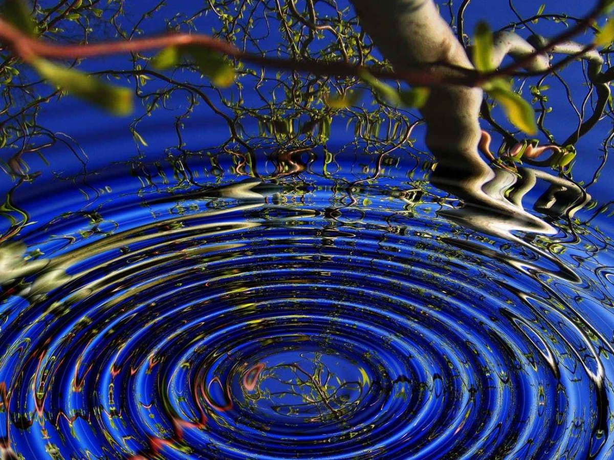 Staying Steady in an Unsteady&nbsp;World