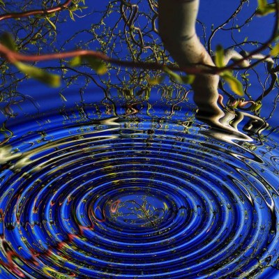 Staying Steady in an Unsteady&nbsp;World