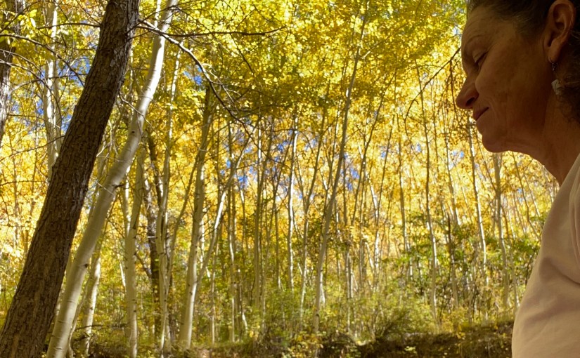 Seasonal Transitions and the Practice of&nbsp;Equanimity: