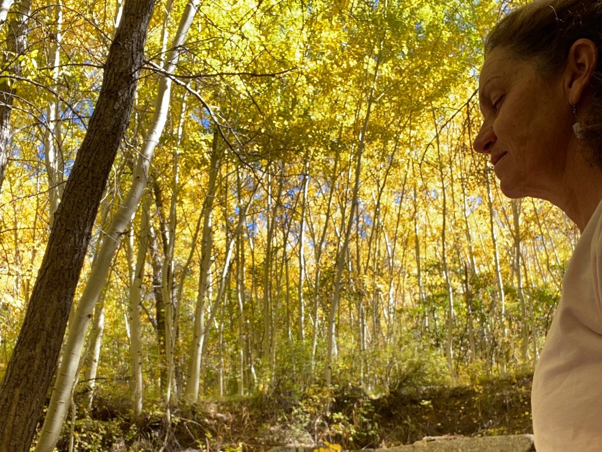 Seasonal Transitions and the Practice of&nbsp;Equanimity: