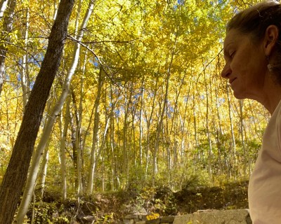 Impermanence and the Cycle of&nbsp;Life: