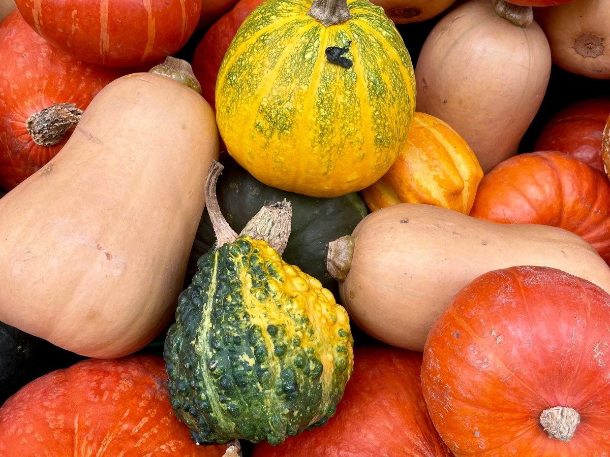 Mindful Eating for&nbsp;Families: